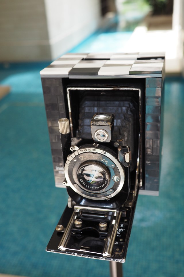 OLYMPUS DIGITAL CAMERA